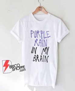 PURPLE RAIN In MY BRAIN T-Shirt - Lady Gaga Shirt - Funny Shirt