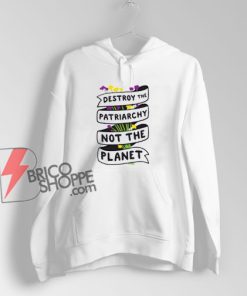 Destroy The Patriarchy Not The Planet Hoodie - Funny Hoodie